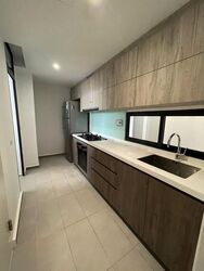 Uptown @ Farrer (D8), Apartment #521926541